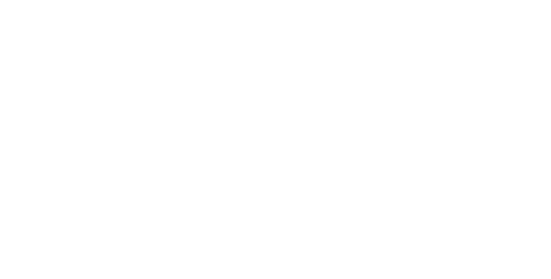 Best IS Solutions